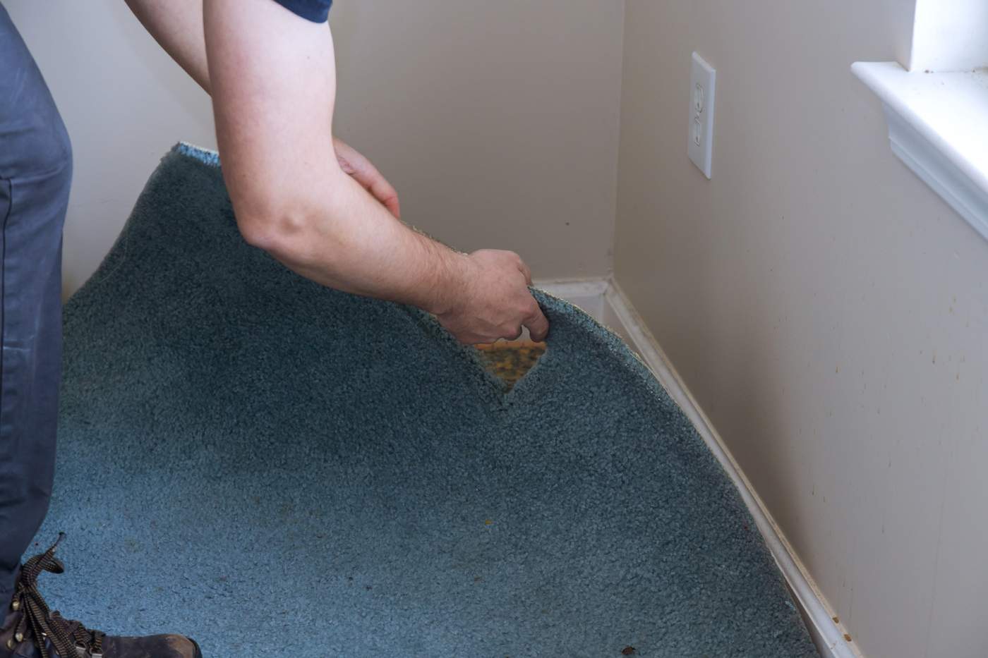 man removing blue carpet